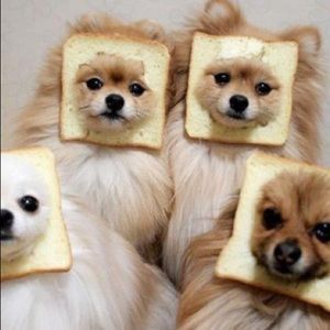 Meet your Posher, Mackenzie